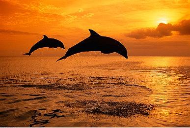 《night striker gear》Steam页面上线 年内发售